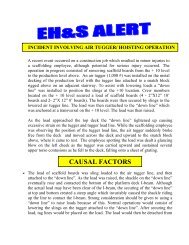 SAFETY ALERT: EH&S Alert Air Tugger-Hoisting Operations