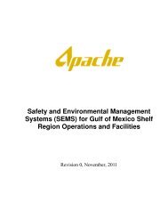 SEMS - Gulf of Mexico Safety and Environmental Management ...