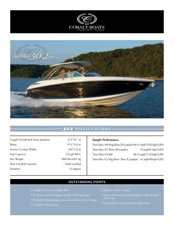 302 SPECIFICATIONS COBALT OUTSTANDING POINTS