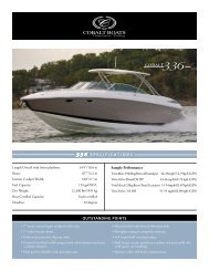 336 SPECIFICATIONS COBALT OUTSTANDING POINTS