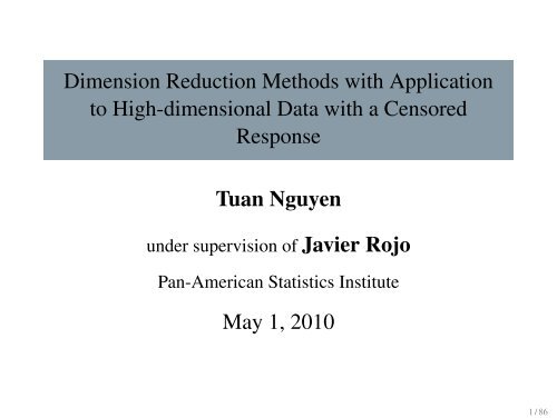 Dimension Reduction Methods with Application to ... - Rice University