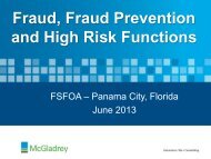 Fraud, Fraud Prevention, and High Risk Functions