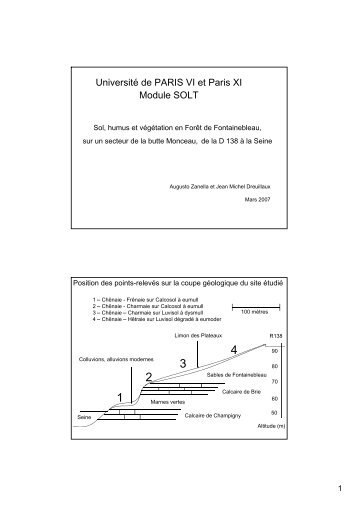 Sol, humus et vÃ©gÃ©tation