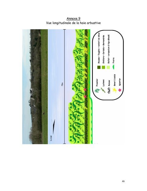 Ecologie et Impact des haies