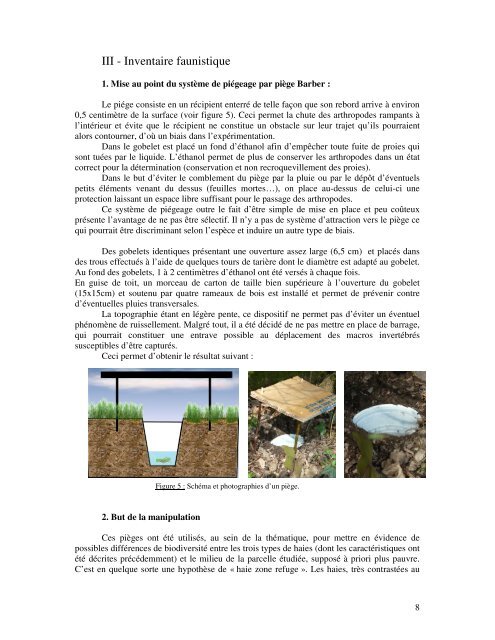 Ecologie et Impact des haies