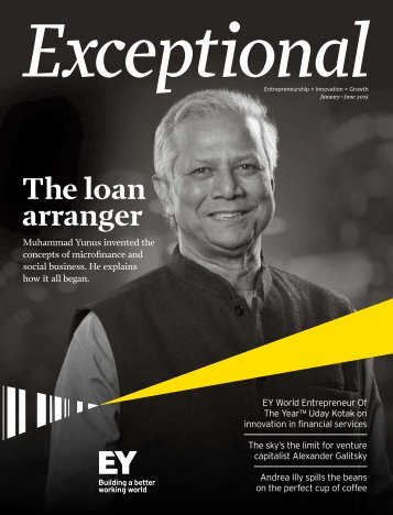 EY-exceptional-january-june-2015-emeia