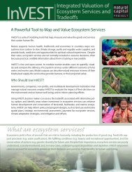 What are ecosystem services? - Natural Capital Project