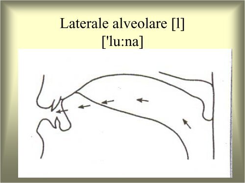 Linguistica generale e applicata Modulo A: Le lingue e il linguaggio