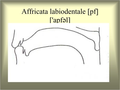 Linguistica generale e applicata Modulo A: Le lingue e il linguaggio