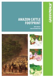 AmAzon CAttle footprint - Greenpeace