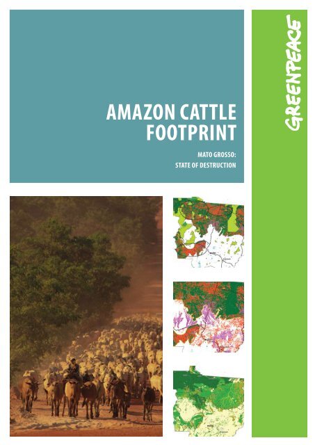 AmAzon CAttle footprint - Greenpeace