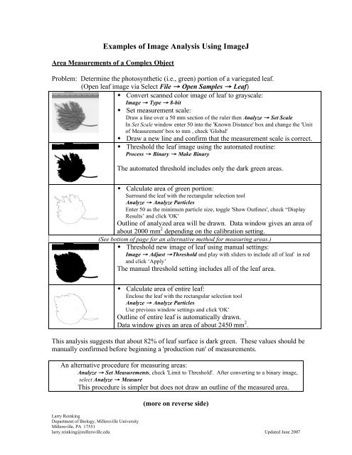 Examples Of Image Analysis Using Imagej Rsb Home Page