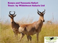 Tours by Wildebeest Safaris Ltd