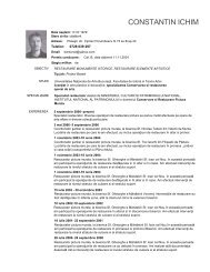 cv constantin ichim.pdf