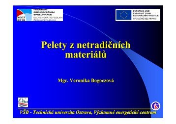 VÅ B - TechnickÃ¡ univerzita Ostrava, VÃ½zkumnÃ© ... - biomasa-info.sk