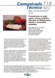 118 Processamento de queijo caprino cremoso probiÃ³tico ...