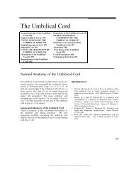 The Umbilical Cord