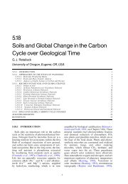 5.18 Soils and Global Change in the Carbon Cycle over Geological ...