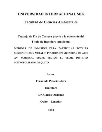 TESIS FERNANDO PALACIOS.pdf