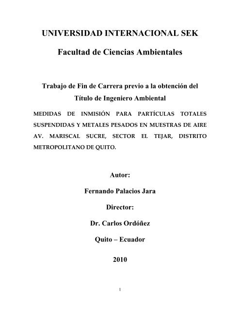 TESIS FERNANDO PALACIOS.pdf