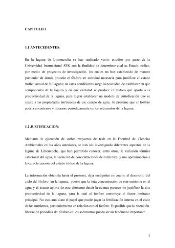 CAPITULOS TESIS JUAN SALVADOR ARPI.pdf