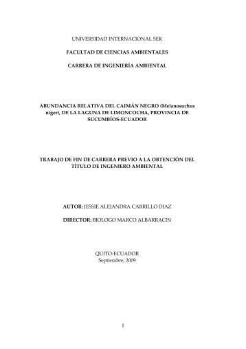TESIS ALEJANDRA CARRILLO.pdf