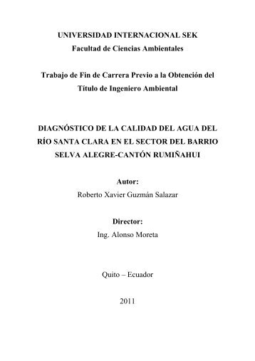 Trabajo Fin de Carrera Roberto Guzman 2011.pdf
