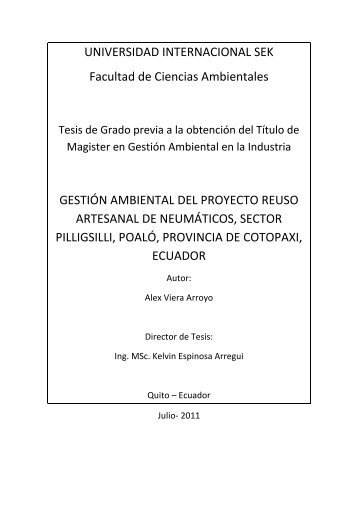 Gestion Ambiental del proyecto reuso artesanal de neumaticos.pdf