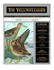 THE YELLOWHAMMER - Alabama Ornithological Society