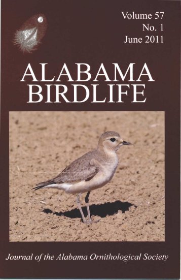 Vol. 57#1.indd - Alabama Ornithological Society