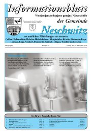 Informationsblatt In dieser Ausgabe lesen Sie - Gemeinde Neschwitz