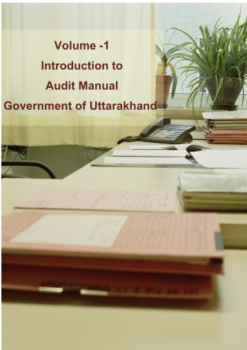 Audit Manual - Core Treasury System Uttarakhand