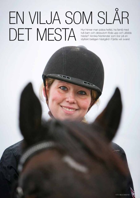 kstf-h pÃ¥ Eurohorse