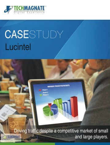 SEO Case Study- Lucintel