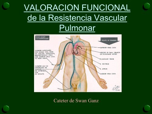 FISIOLOGIA RESPIRATORIA y VALORACION FUNCIONAL