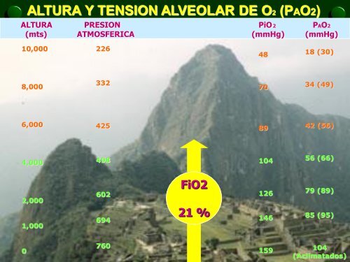 FISIOLOGIA RESPIRATORIA y VALORACION FUNCIONAL