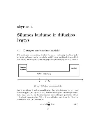 skyrius 4 Å ilumos laidumo ir difuzijos lygtys