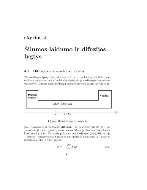 skyrius 4 Å ilumos laidumo ir difuzijos lygtys