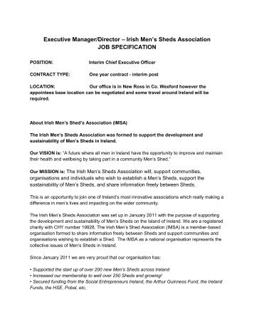 ceo position description