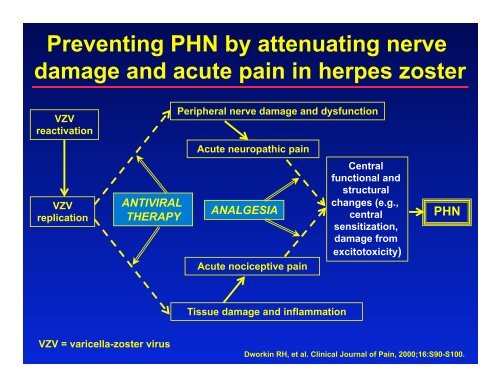 Strategies for the Prevention of Postherpetic Neuralgia - immpact