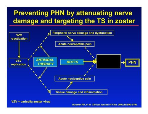 Strategies for the Prevention of Postherpetic Neuralgia - immpact