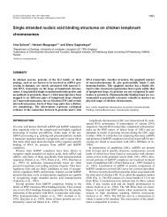 Single stranded nucleic acid binding structures - Journal of Cell ...