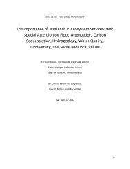 The Importance of Wetlands in Ecosystem Services - Haliburton ...