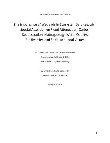 The Importance of Wetlands in Ecosystem Services - Haliburton ...