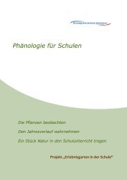 Phänologie für Schulen - Schleswig-Holsteinischer Heimatbund eV