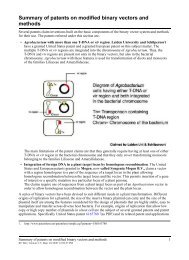 Summary of patents on modified binary vectors and methods - BiOS