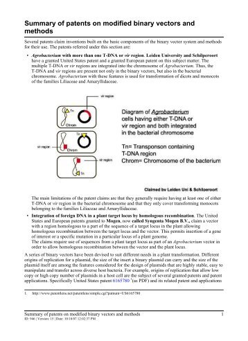 Summary of patents on modified binary vectors and methods - BiOS