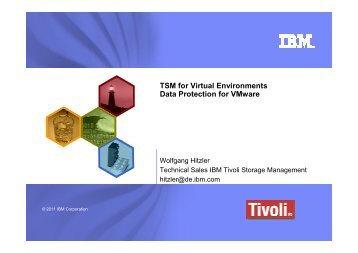 2011-03-15-TSM For Virtual Environments 6