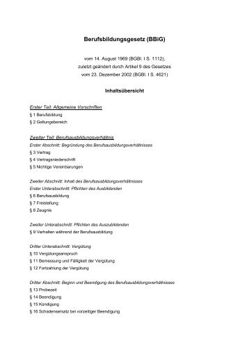 Berufsbildungsgesetz (BBiG) in der Fassung vom ... - FI-ausbilden.de