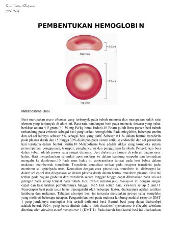 PEMBENTUKAN HEMOGLOBIN.pdf